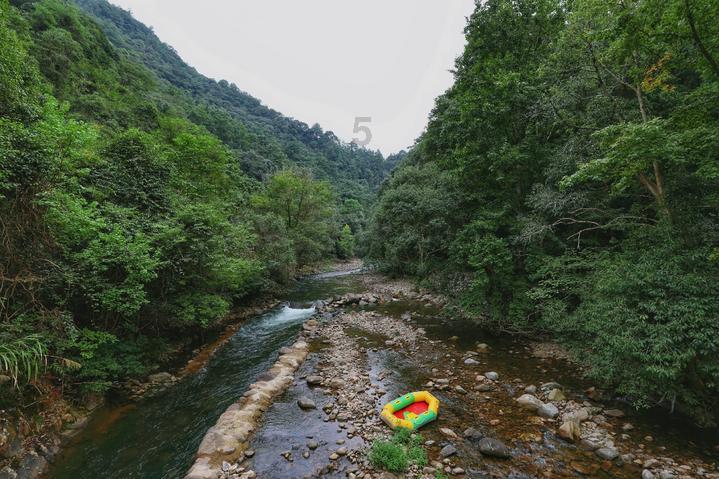 小锯鳄卡丁车竞赛